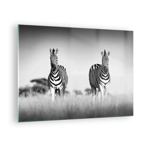 Schilderen op glas - Een zebrapaar op een zwart-witte grasachtergrond, afgebeeld in hun natuurlijke habitat. - 70x50cm - Toch is de wereld zwart-wit - Moderne wanddecoratie voor woonkamer en slaapkamer ARTTOR