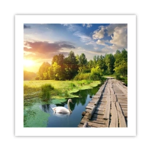 Poster - Zomer, zomer overal - 50x50 cm