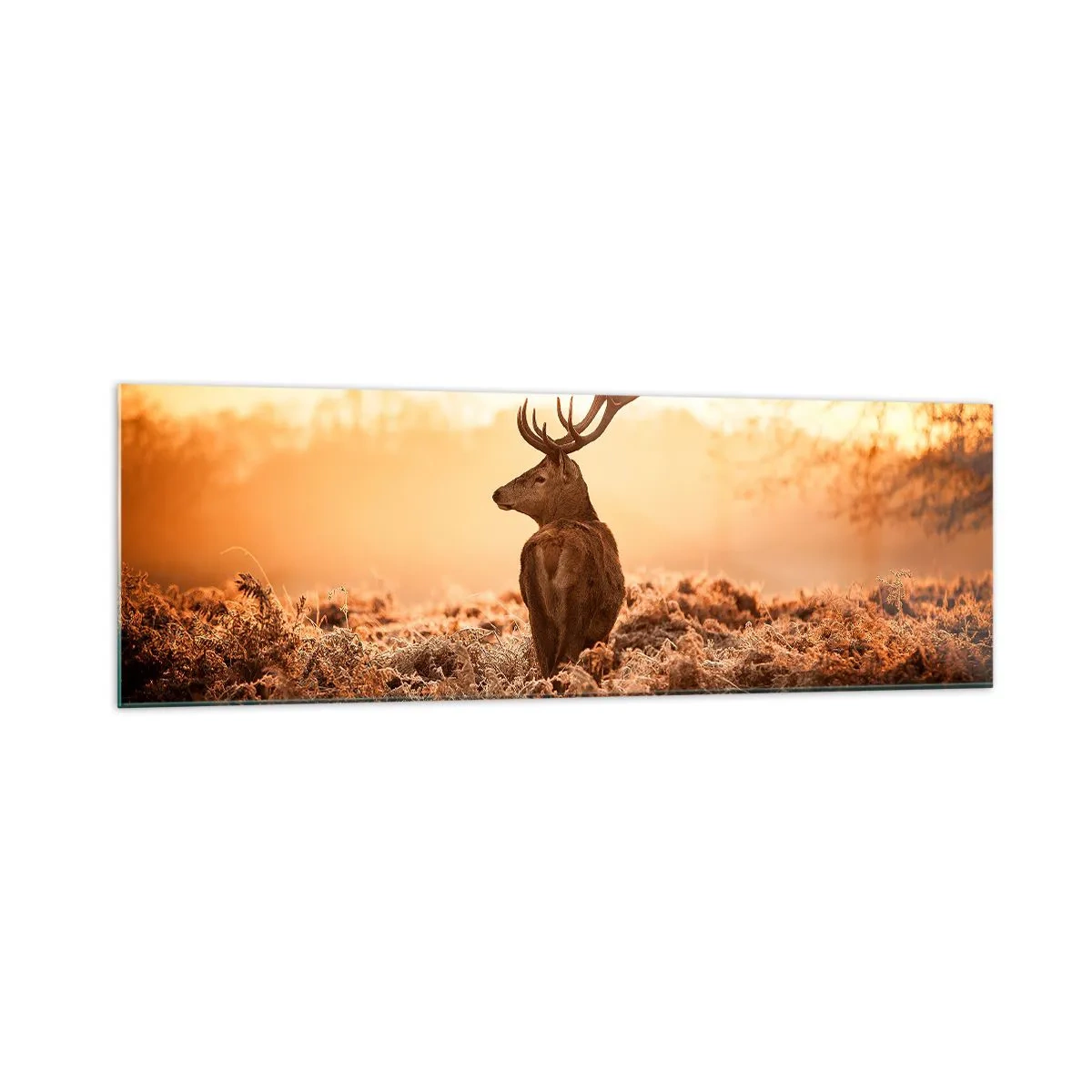 Schilderen op glas - Heer van het landgoed - 160x50 cm