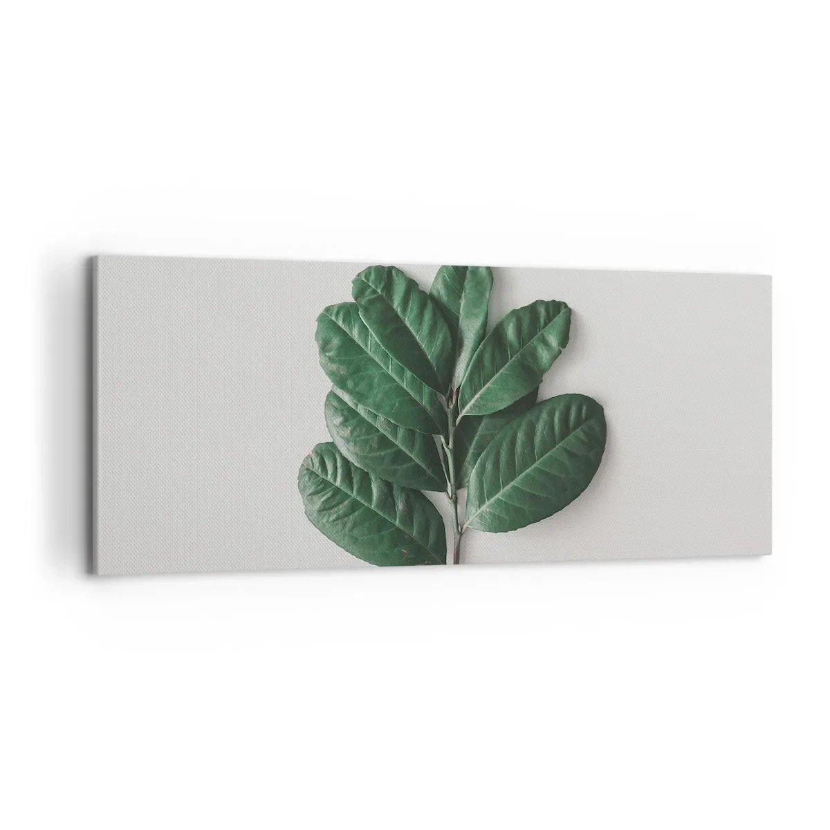 Schilderen op canvas - Een tekening van de pure natuur - 120x50 cm