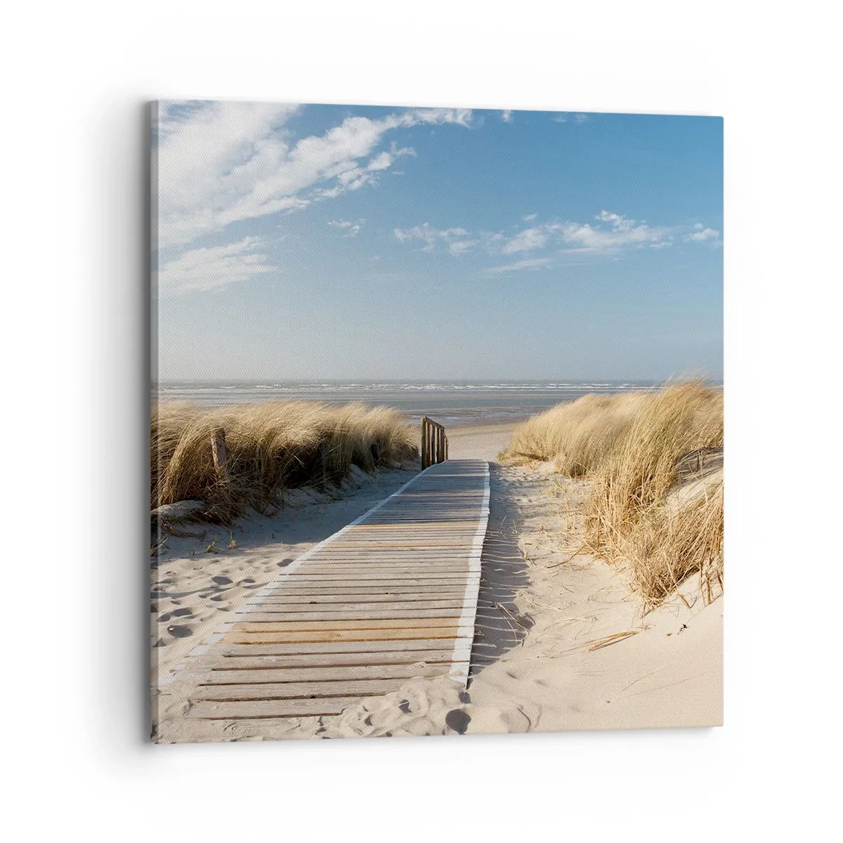 Schilderen op canvas - Achter het duin, in het ruisen van gras - 70x70 cm