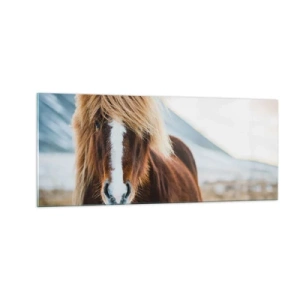 Schilderen op glas - Voel jij je vrij? - 100x40 cm