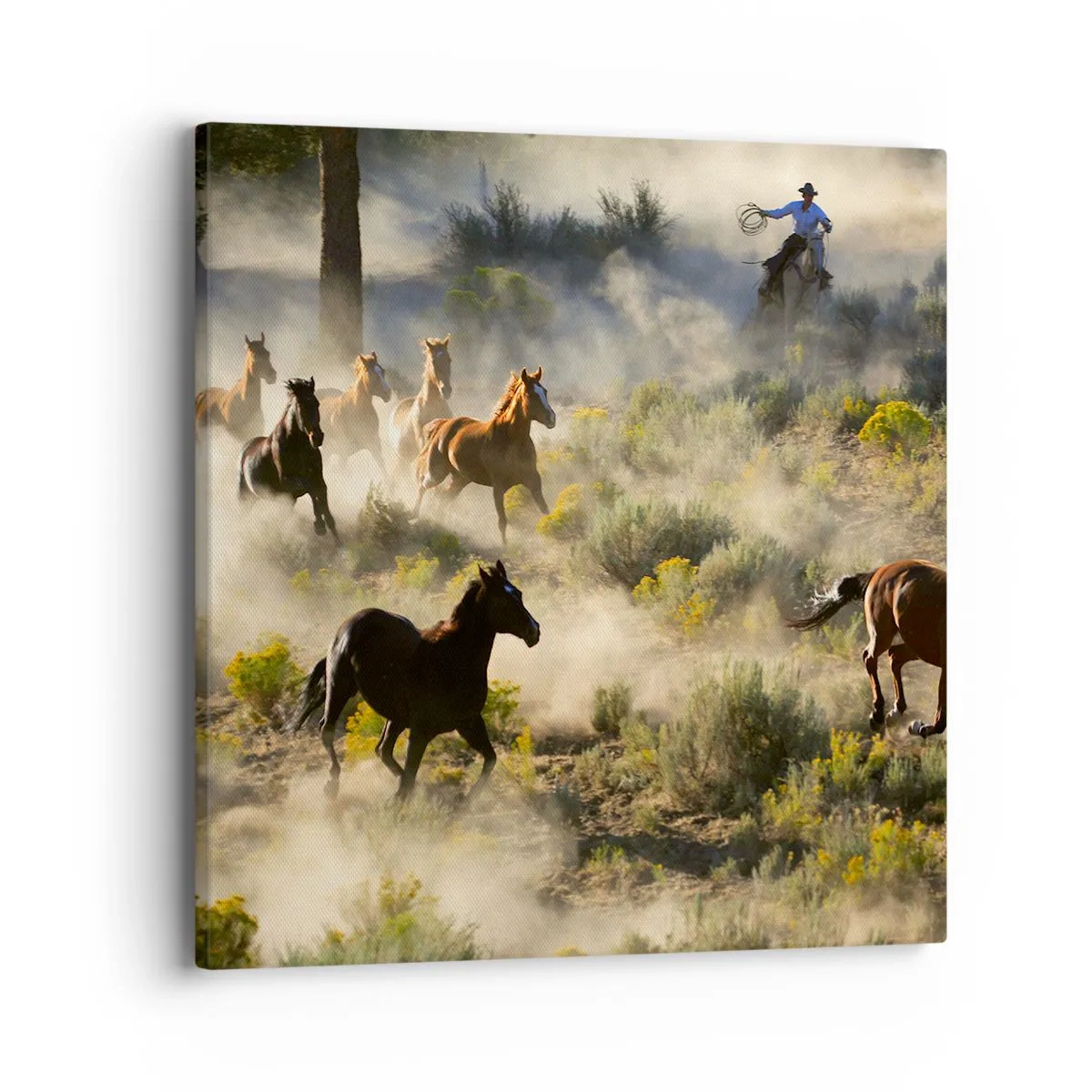 Schilderen op canvas - Rivaliteit - vrijheid of mannelijke kracht? - 40x40 cm