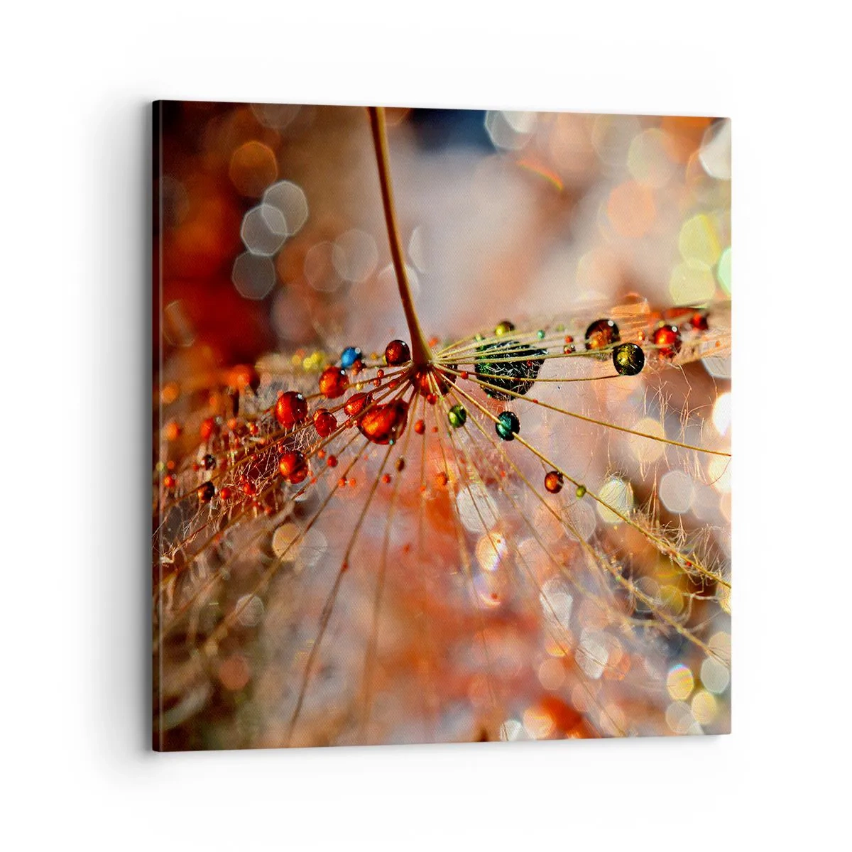 Schilderen op canvas - Geregen op een spinnendraad - 70x70 cm