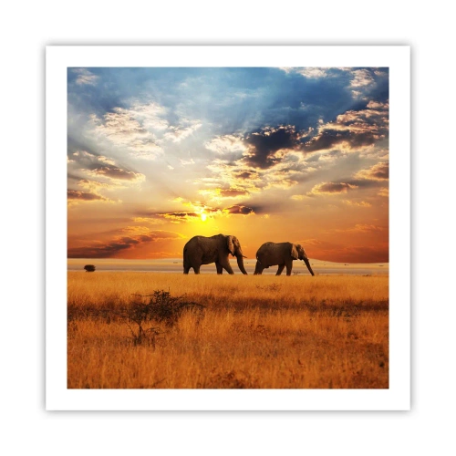 Poster - Familie wandeling - 60x60 cm