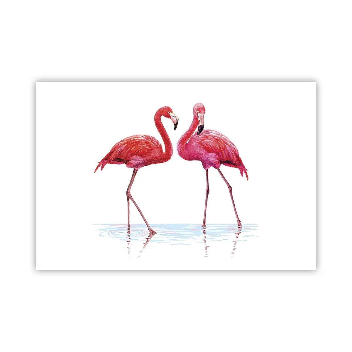 Poster - Roze randez-vous - 91x61 cm