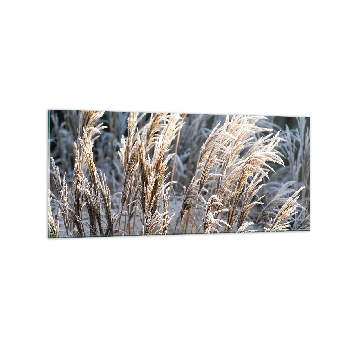 Schilderen op glas - Gekleed met vorst - 120x50 cm