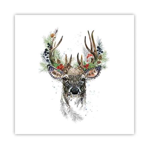 Poster - In een feestelijk gewaad - 50x50 cm