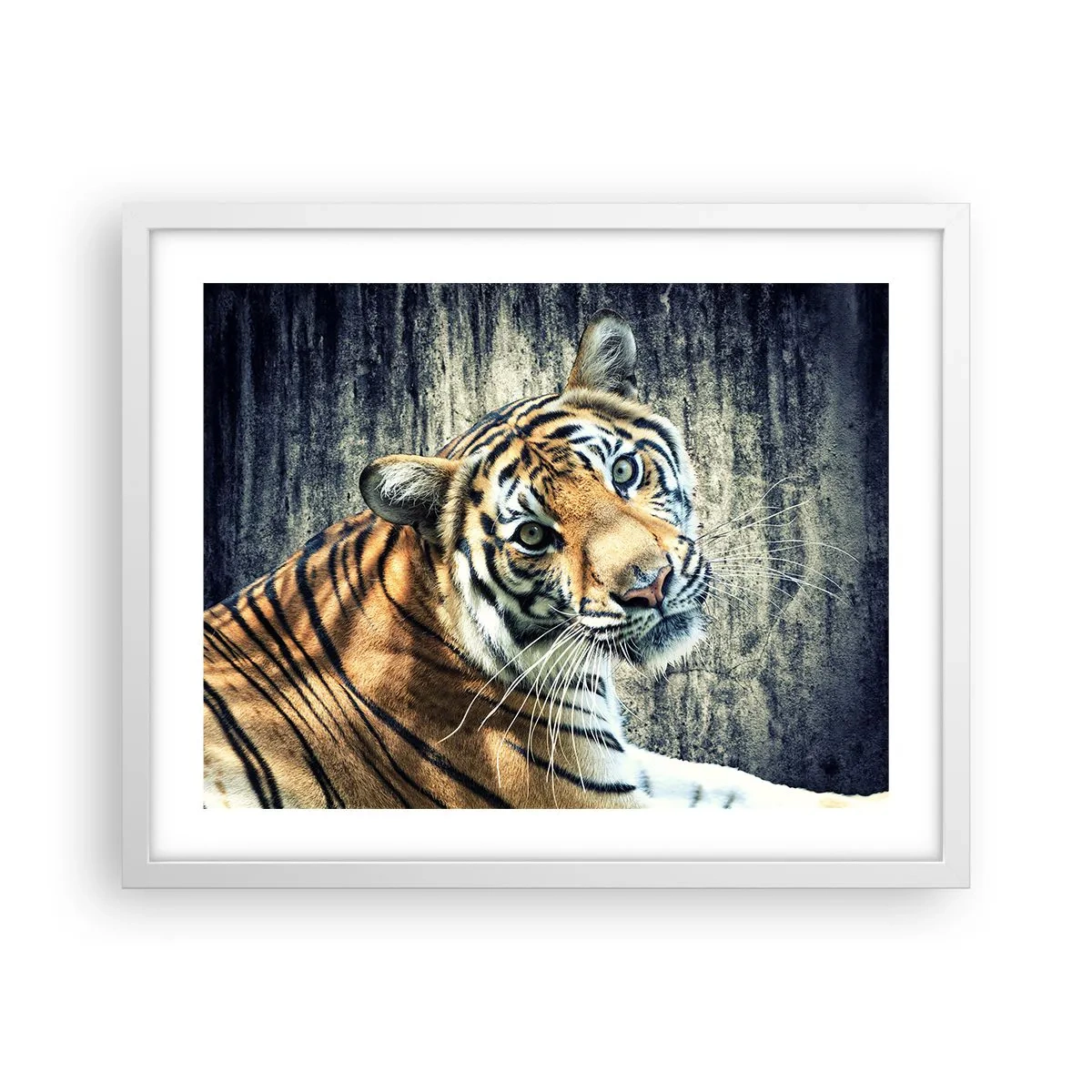 Poster in een witte lijst - Portret in stromen van licht - 50x40 cm