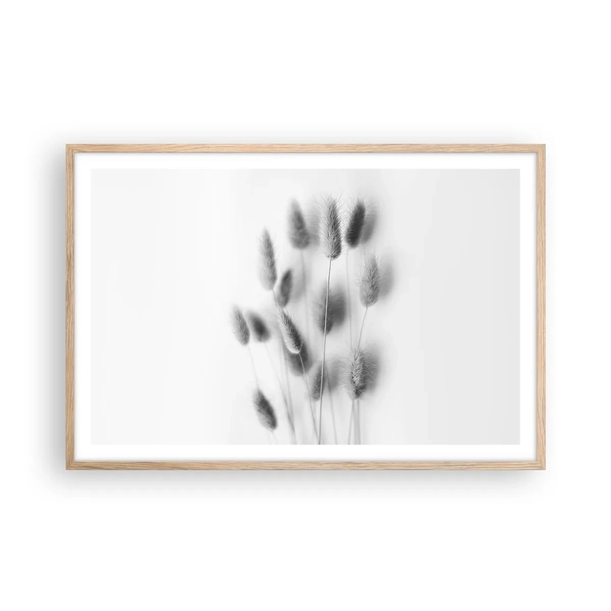 Een poster in een licht eiken lijst - Haar luchtigheid gras - 91x61 cm