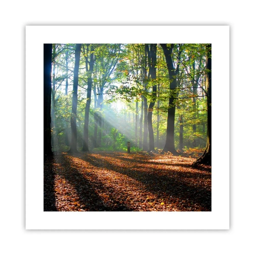 Poster - Lichten en schaduwen - 40x40 cm