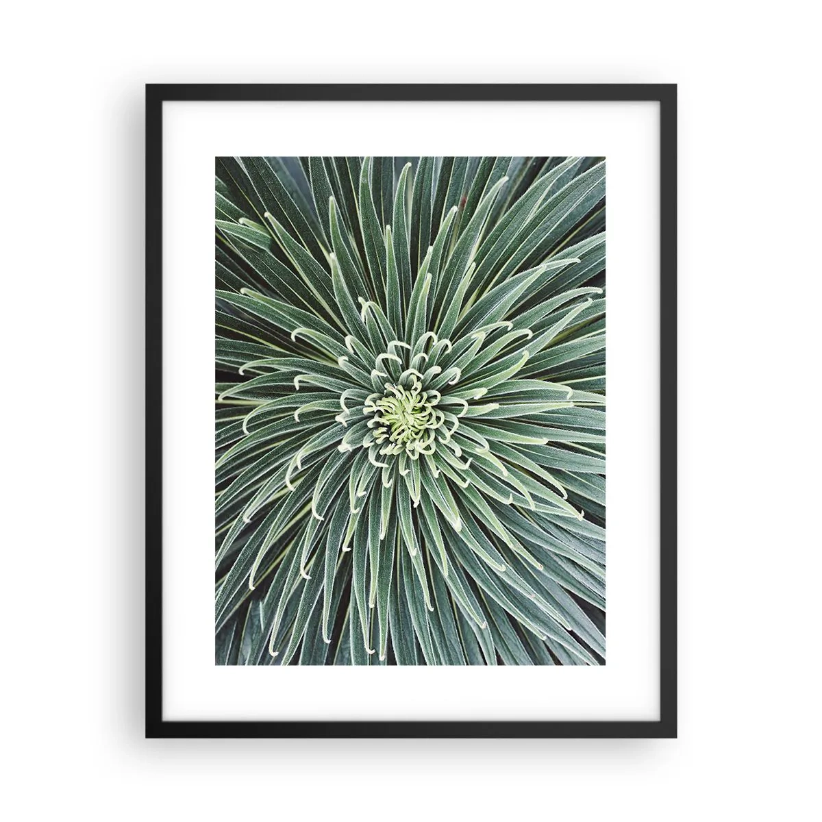 Poster in een zwarte lijst - Een ster is geboren - 40x50 cm