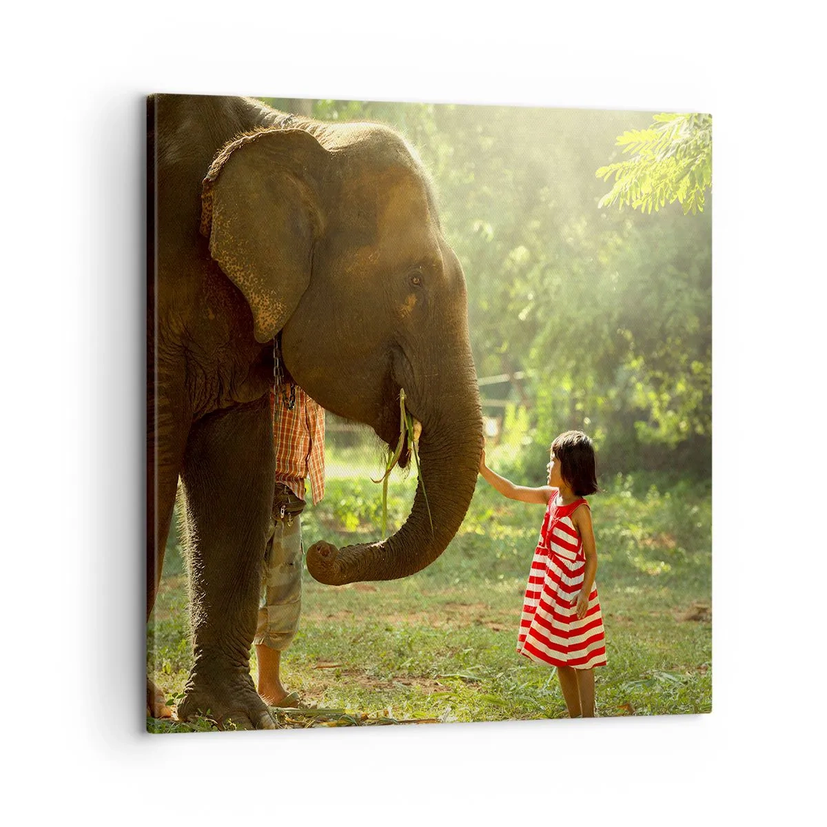 Schilderen op canvas - De kracht van vriendschap - 60x60 cm