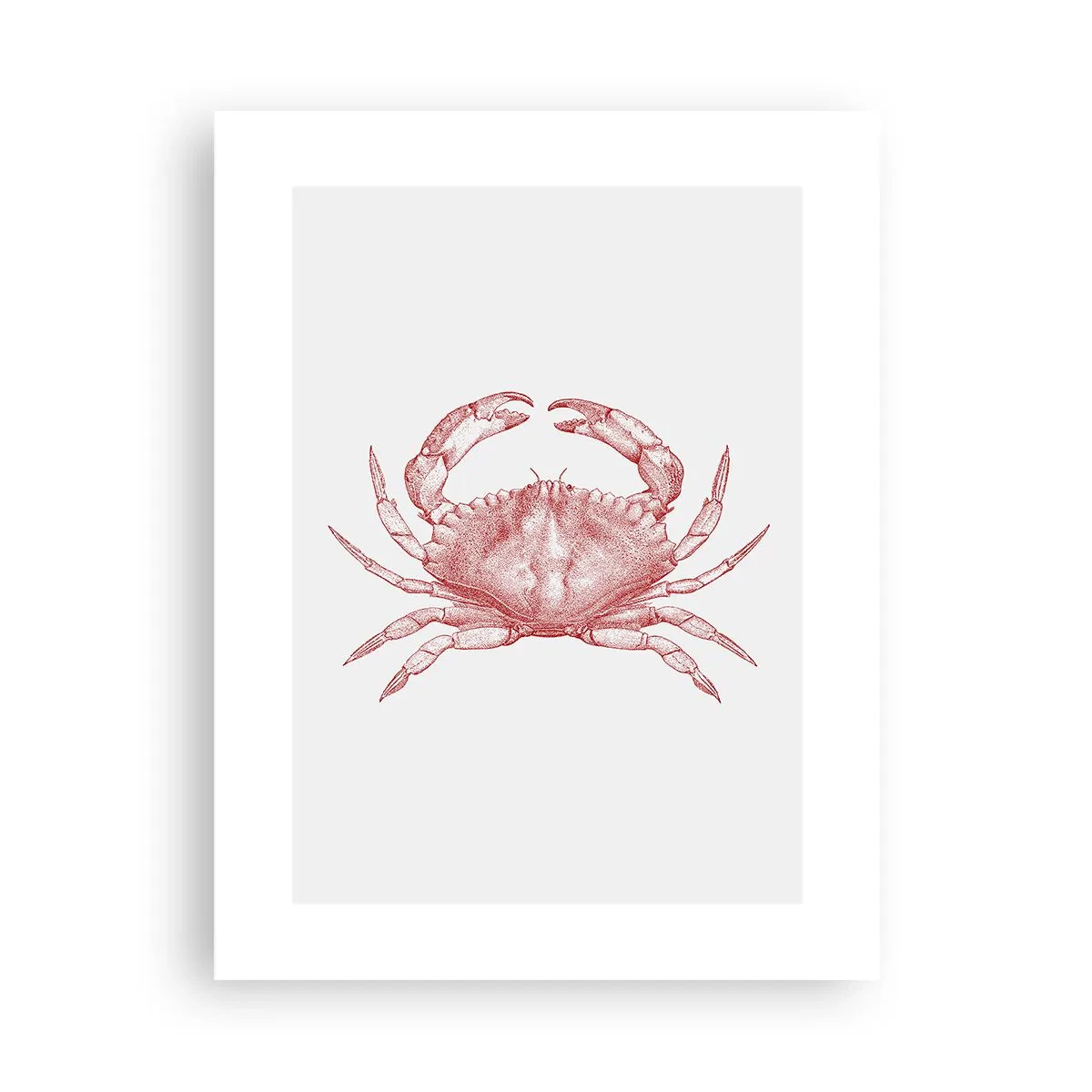 Poster - Krab der krabben - 30x40 cm