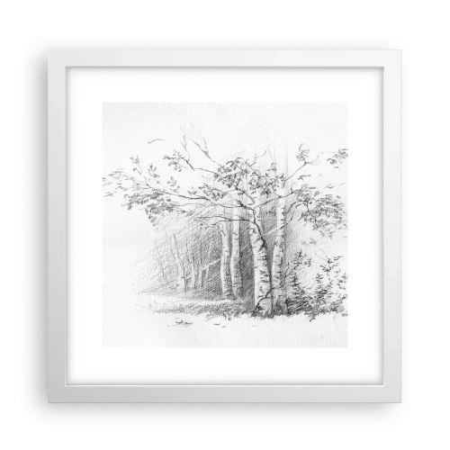 Poster in een witte lijst - Het licht van het berkenbos - 30x30 cm
