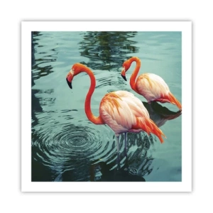 Poster - We zijn nu in de mode - 60x60 cm