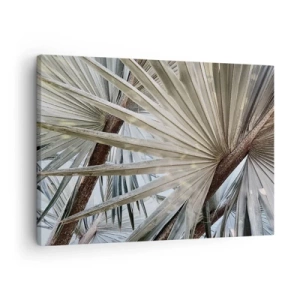 Schilderen op canvas - Close-up van palmbladeren in natuurlijke tinten groen - 70x50cm - Fans in de tropen - Moderne wanddecoratie voor woonkamer en slaapkamer ARTTOR