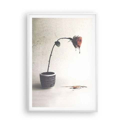 Poster in een witte lijst - Rosa dolorosa - 70x100 cm