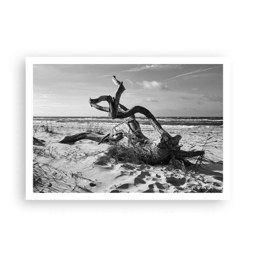 Poster - Zee sculptuur - 100x70 cm