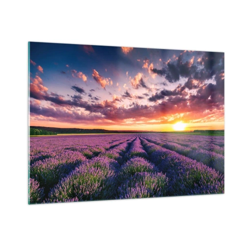 Schilderen op glas - Lavendel wereld - 100x70 cm