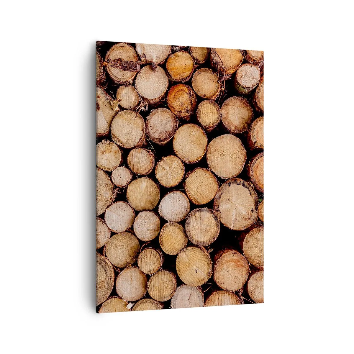 Schilderen op canvas - Een nieuw begin - 70x100 cm