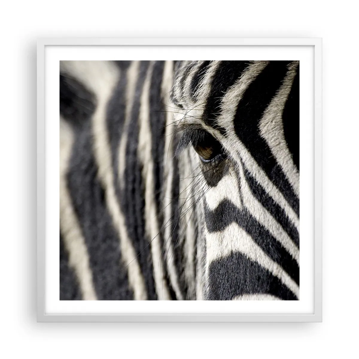 Poster in een witte lijst - Gestreept portret - 60x60 cm