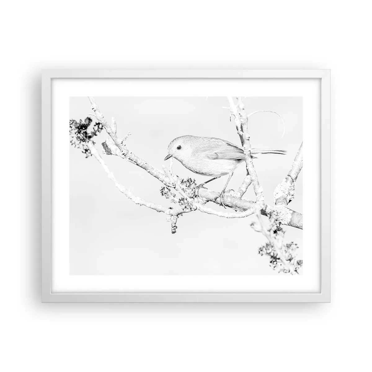 Poster in een witte lijst - Winterochtend - 50x40 cm