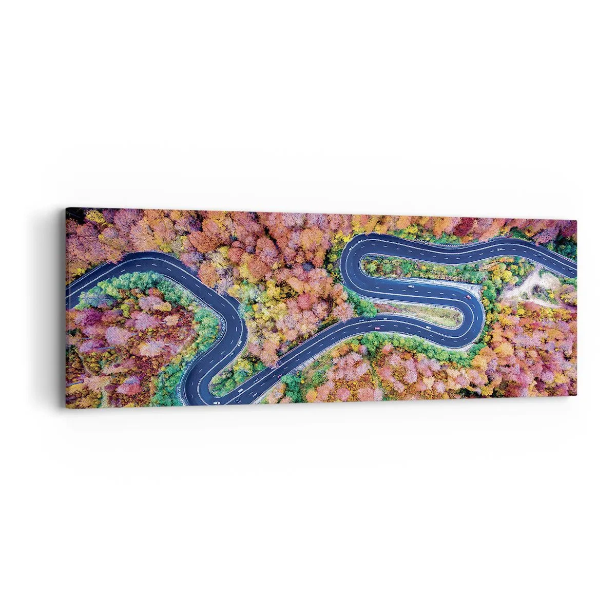 Schilderen op canvas - Een kronkelende weg door het bos - 90x30 cm