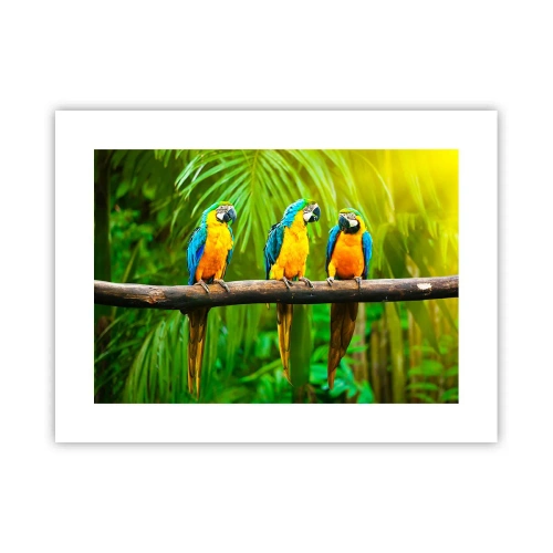 Poster - En heb je gehoord dat ze...? - 40x30 cm