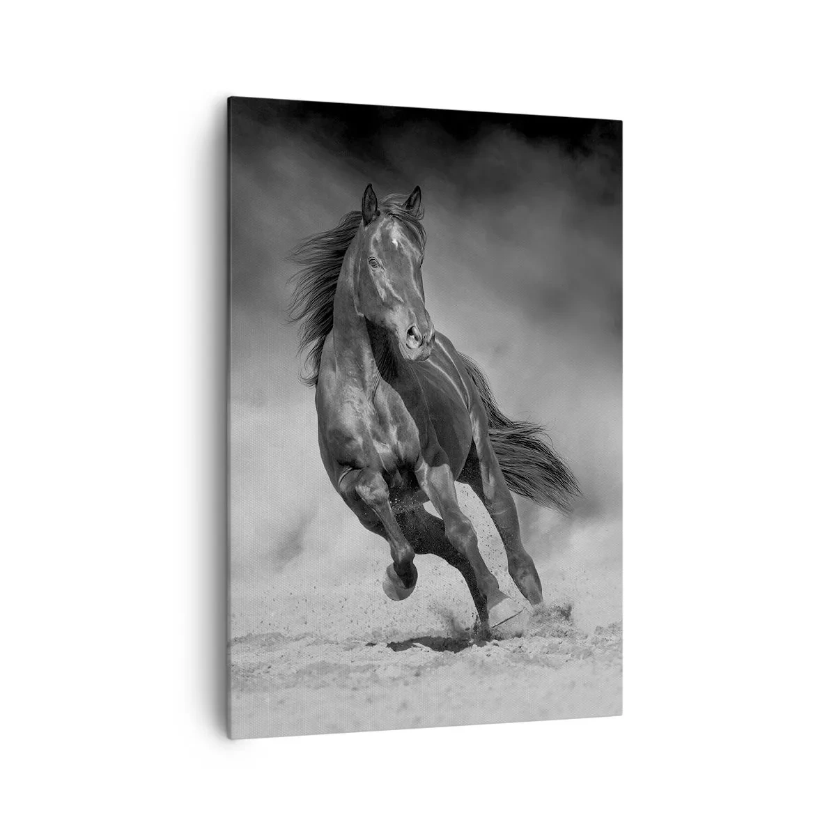 Schilderen op canvas - De emir zelf waardig - 70x100 cm