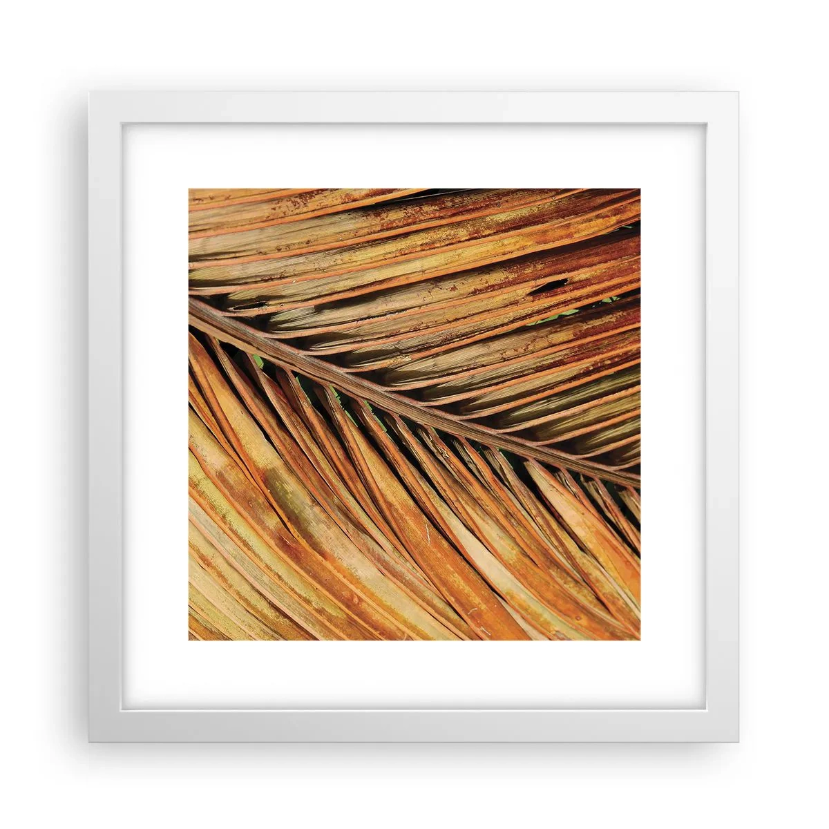 Poster in een witte lijst - Kokos goud - 30x30 cm