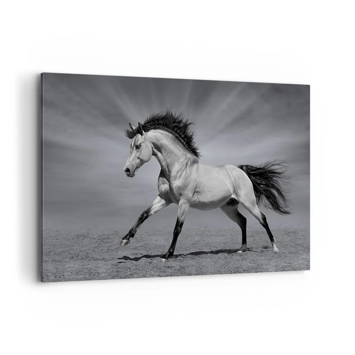 Schilderen op canvas - Geboren om te genieten - 120x80 cm