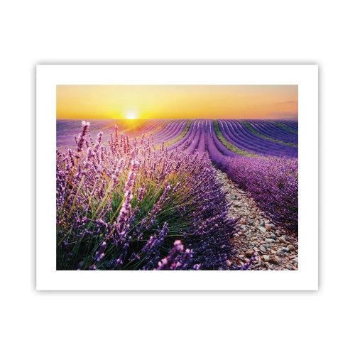 Poster - Geurige korenvelden - 50x40 cm