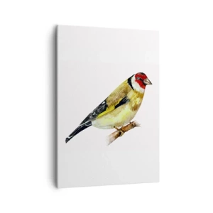 Schilderen op canvas - Vogel portret - 50x70 cm