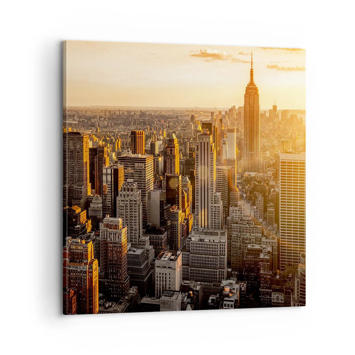 Schilderen op canvas - Groeien in de zon - 60x60 cm