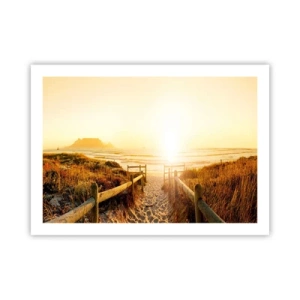 Poster - Over het duin, richting de zon - 70x50 cm