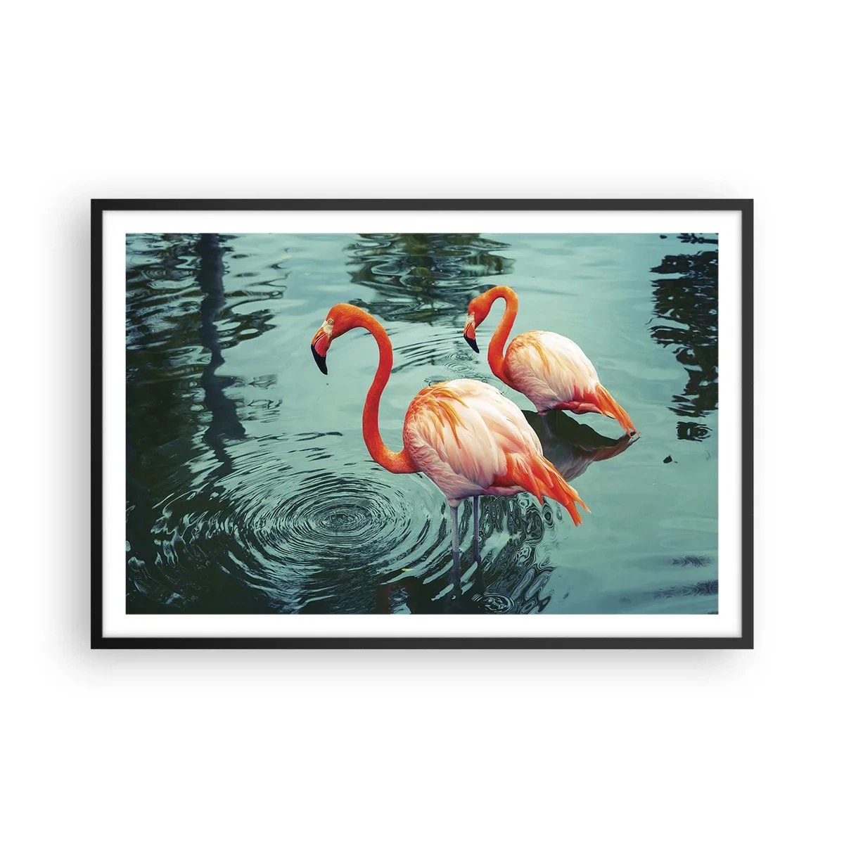 Poster in een zwarte lijst - We zijn nu in de mode - 91x61 cm