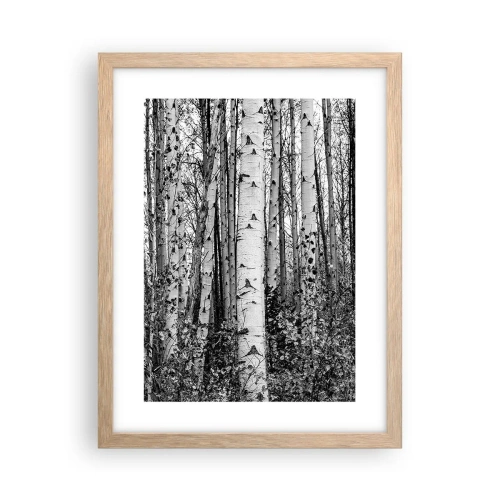 Een poster in een licht eiken lijst - Berken colonnade - 30x40 cm