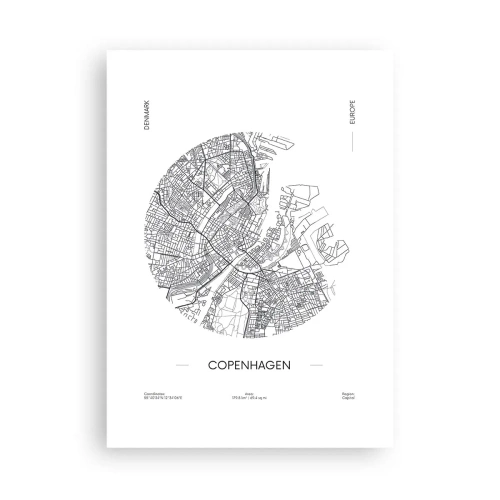 Poster - Anatomie van Kopenhagen - 50x70 cm