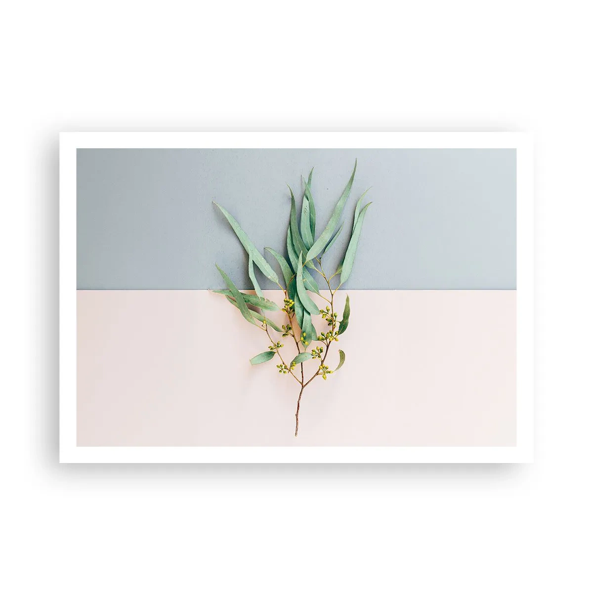 Poster - Subtiliteit in pastelkleuren - 100x70 cm