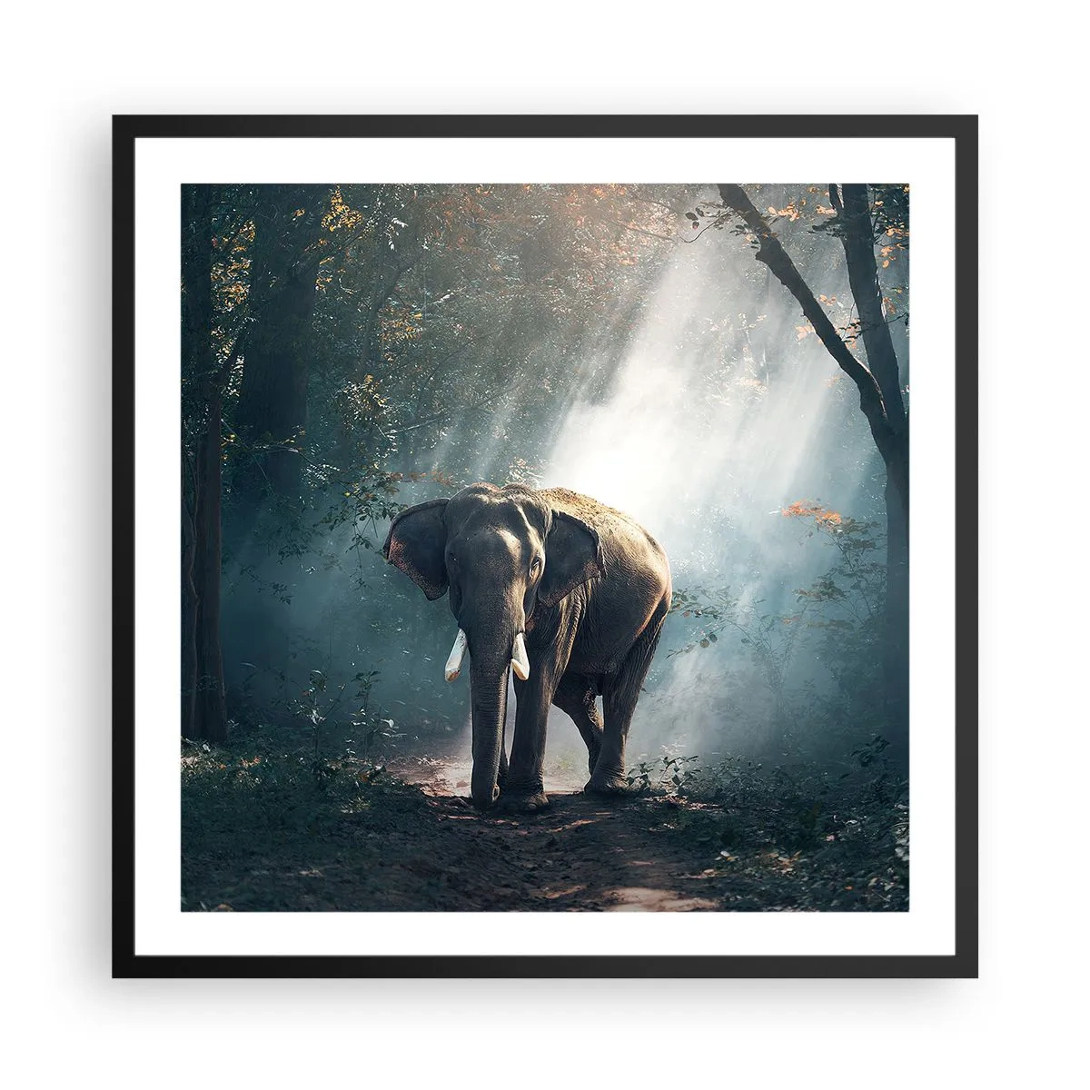 Poster in een zwarte lijst - Een ontspannen wandeling - 60x60 cm