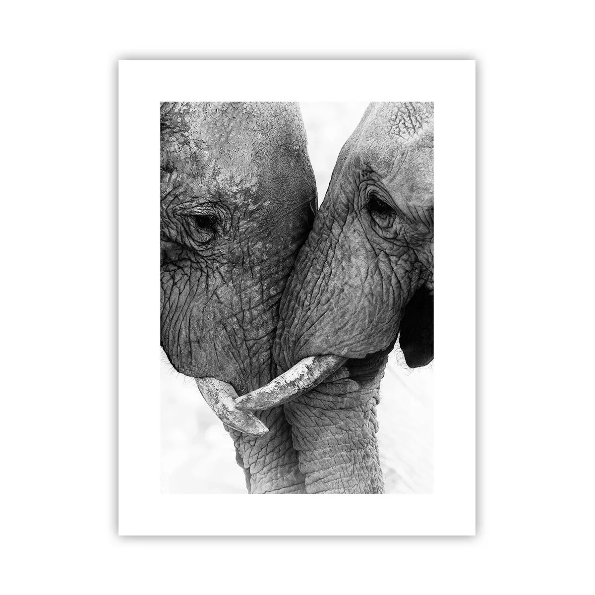 Poster - Oprechte bekentenis - 30x40 cm