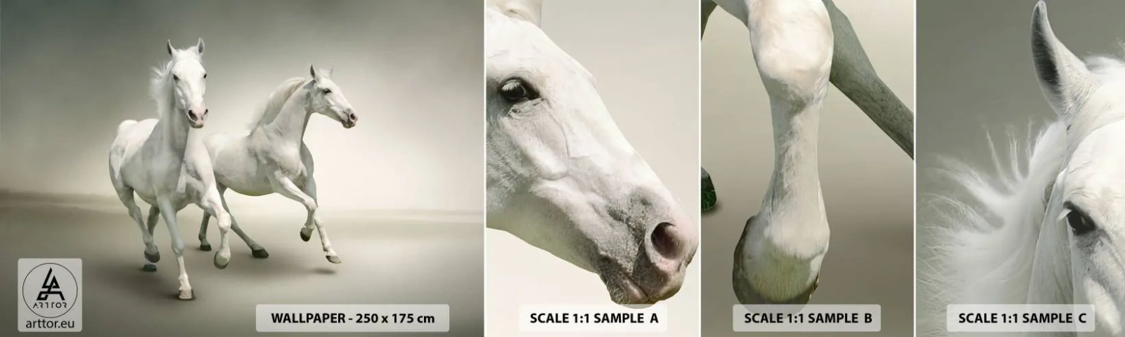 Fotobehang Monster Zelfklevend Deluxe Sticker - White power! - Dieren, Paarden, Natuur - 100x30 cm