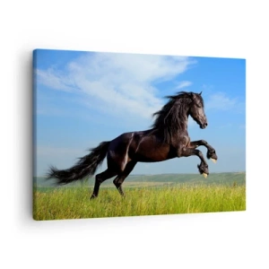 Schilderen op canvas - Een zwart paard dat rent tegen een blauwe lucht en een groene weide - 70x50cm - Een spannend manifest van vrijheid - Moderne wanddecoratie voor woonkamer en slaapkamer ARTTOR