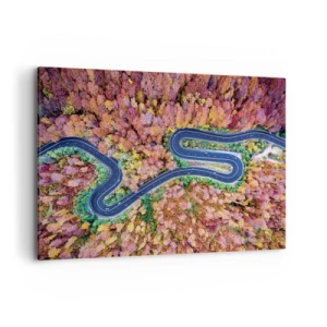 Schilderen op canvas - Een kronkelende weg door het bos - 100x70 cm