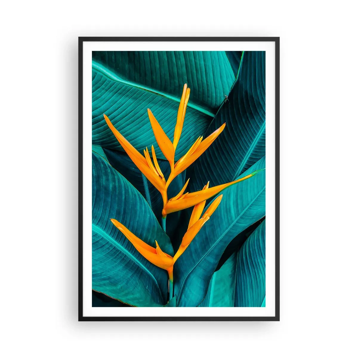 Poster in een zwarte lijst - Eden bloem - 70x100 cm