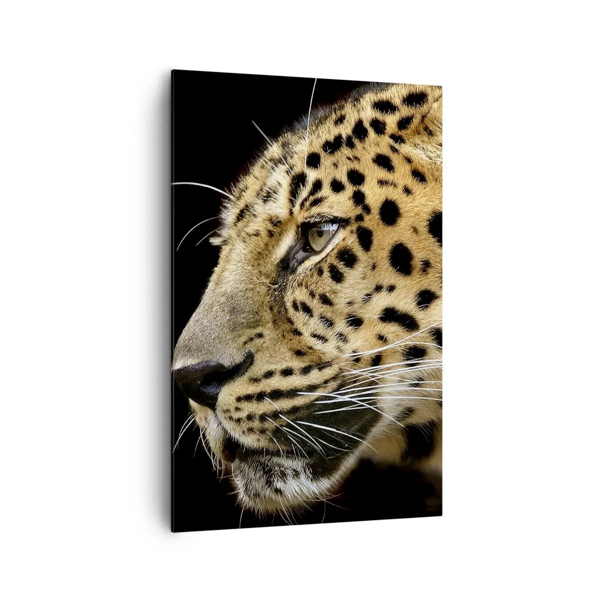 Schilderen op canvas - Rustig, gefocust, klaar - 80x120 cm