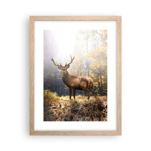Een poster in een licht eiken lijst - In volle majesteit - 30x40 cm